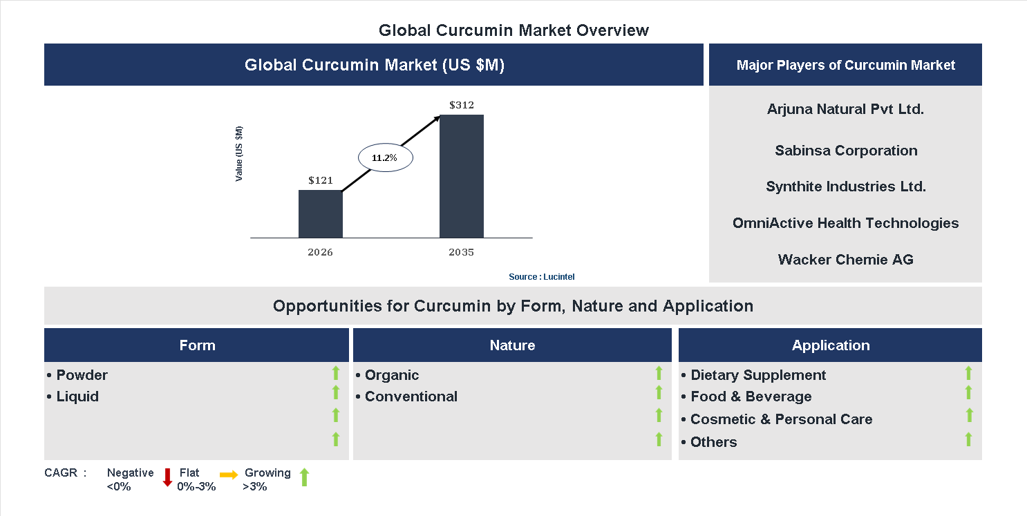 Curcumin Market Trends and Forecast