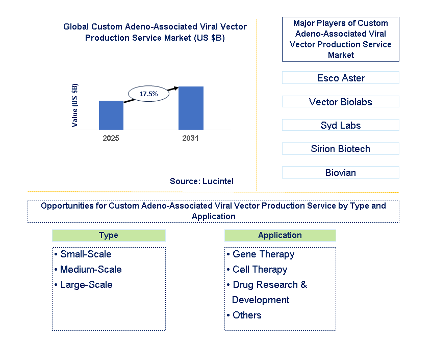 Custom Adeno-Associated Viral Vector Production Service Market Trends and Forecast