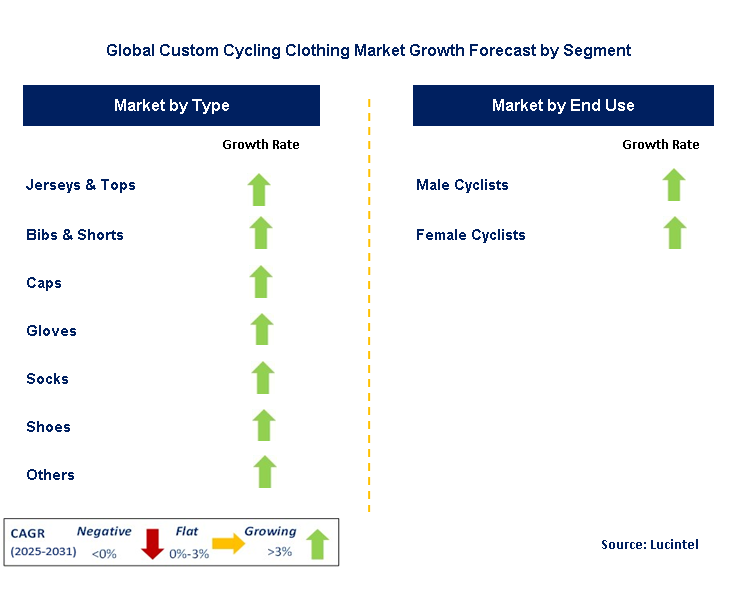 Custom Cycling Clothing Market by Segment