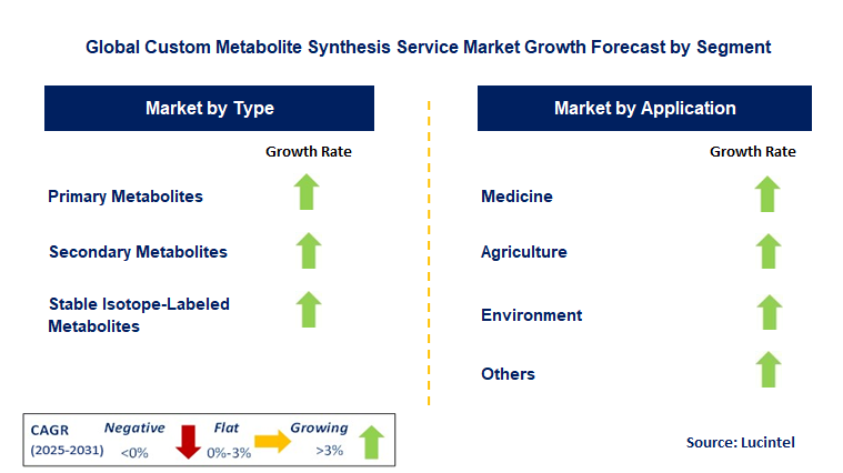 Custom Metabolite Synthesis Service Market by Segment