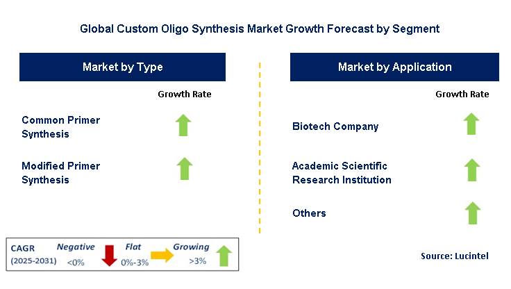 Custom Oligo Synthesis Market by Segment
