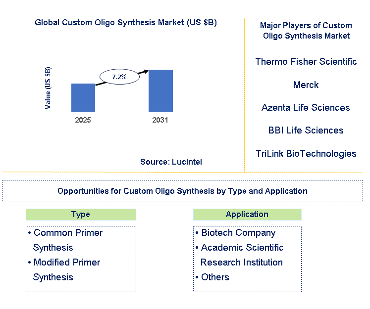 Custom Oligo Synthesis Market Trends and Forecast