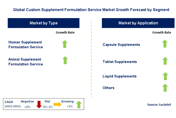 Custom Supplement Formulation Service Market by Segment