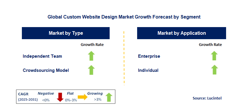 Custom Website Design Market by Segment