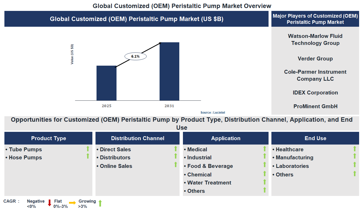 Customized (OEM) Peristaltic Pump Market Trends and Forecast