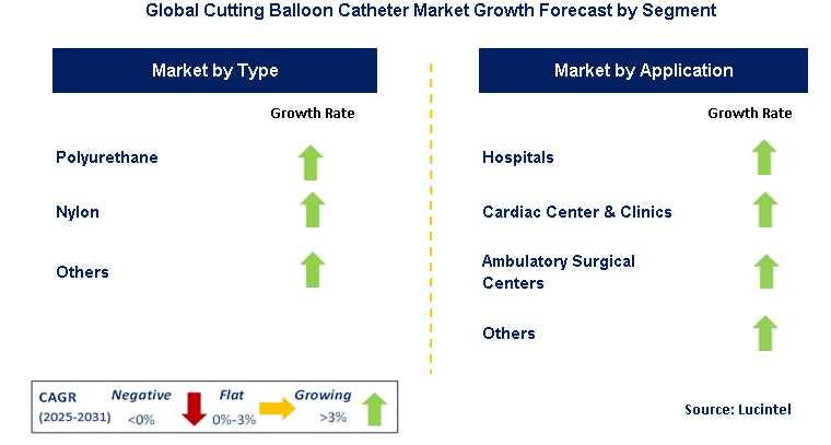 Cutting Balloon Catheter Market by Segment