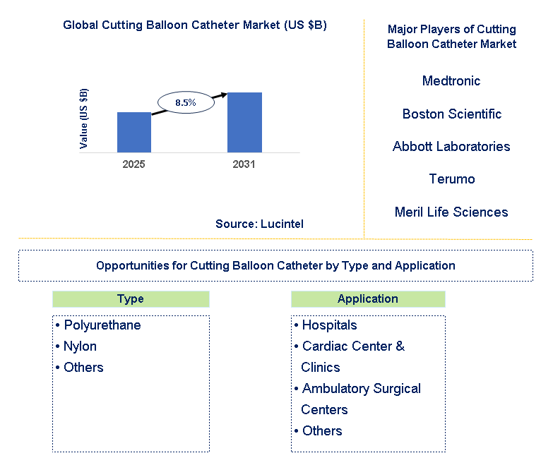 Cutting Balloon Catheter Market Trends and Forecast