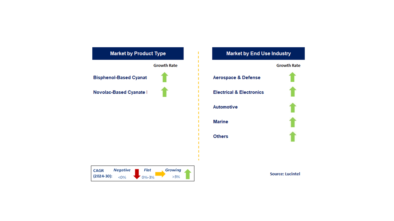 Cyanate Ester Resin Market by Segments