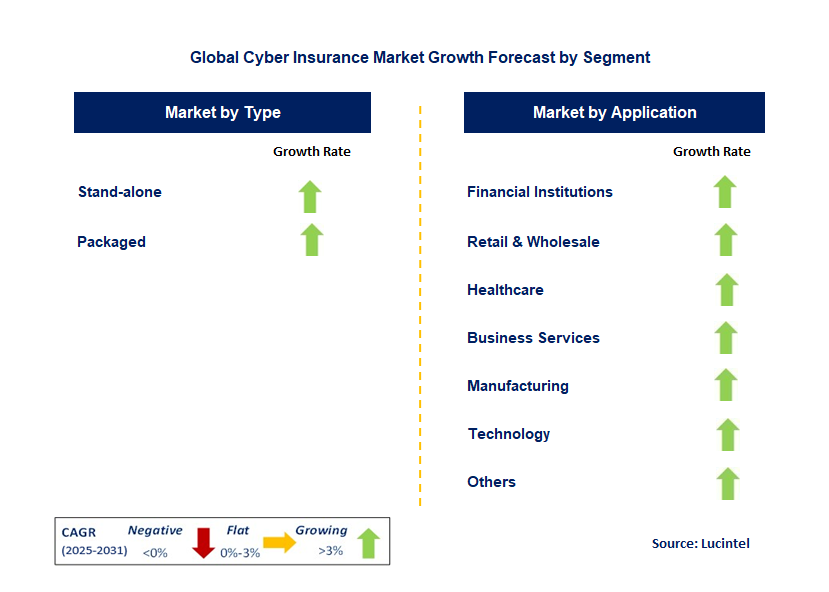 Cyber Insurance Market by Segment