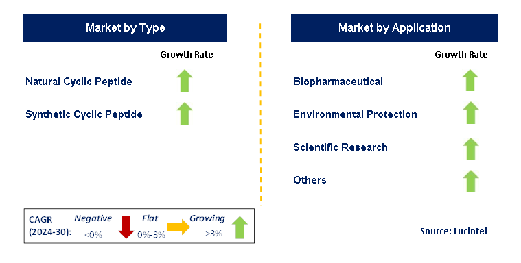 Cyclic Peptide Compound by Segment