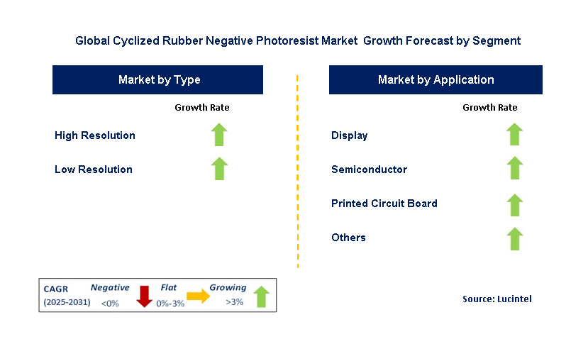 Cyclized Rubber Negative Photoresist Market by Segment
