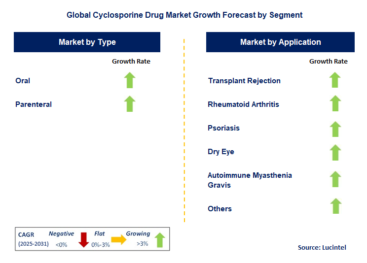 Cyclosporine Drug Market by Segment