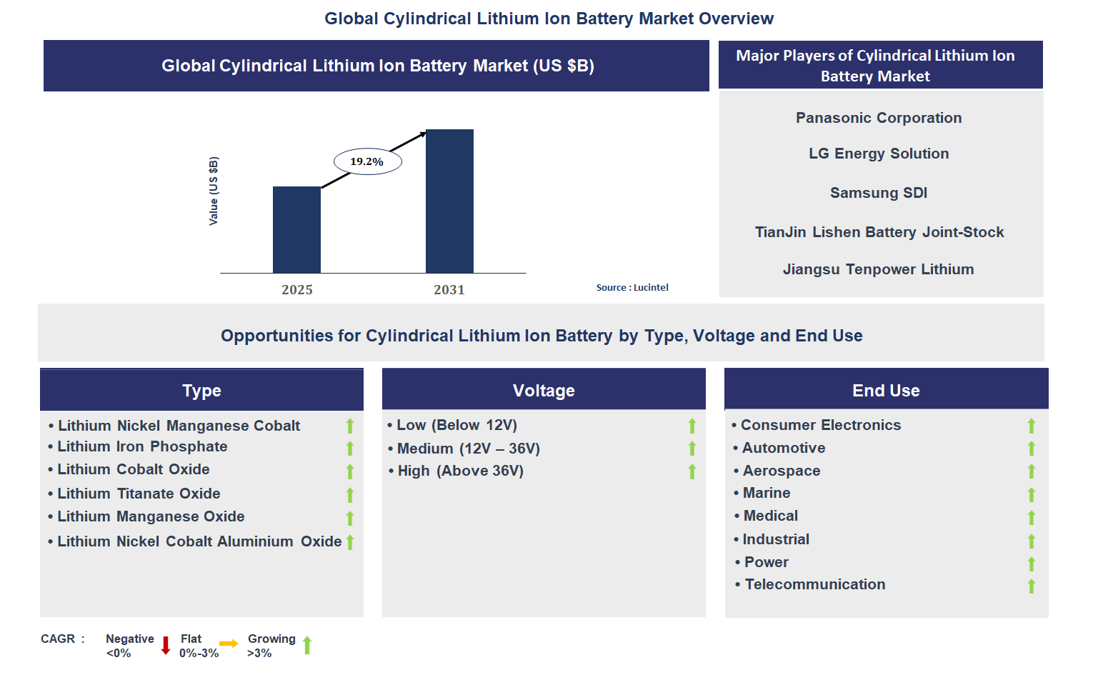 Cylindrical Lithium Ion Battery Market Trends and Forecast