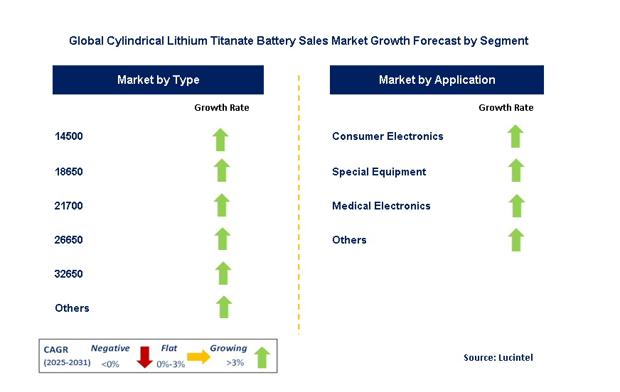 Cylindrical Lithium Titanate Battery Sales Market by Segment