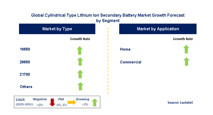 Cylindrical Type Lithium Ion Secondary Battery Market by Segment