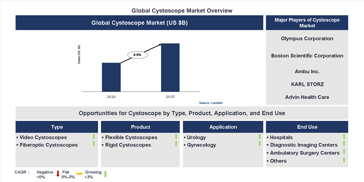 Cystoscope Market Trends and Forecast