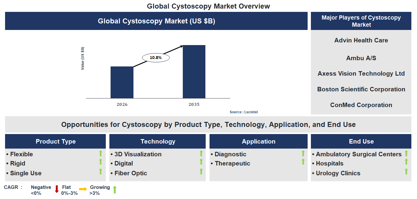 Cystoscopy Market Trends and Forecast