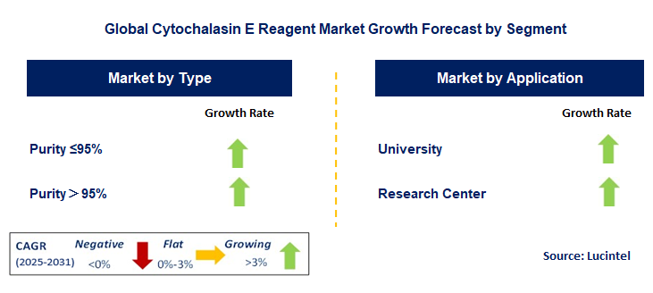 Cytochalasin E Reagent Market by Segment