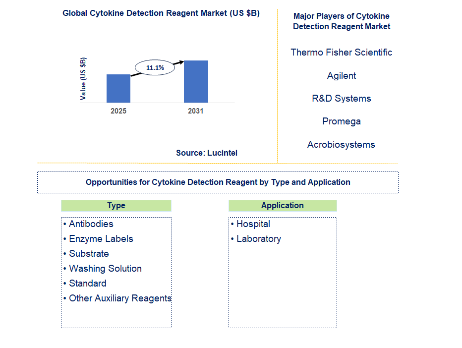 Cytokine Detection Reagent Market Trends and Forecast