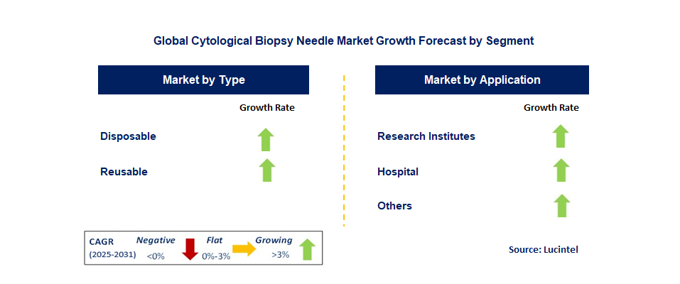 Cytological Biopsy Needle Market by Segment