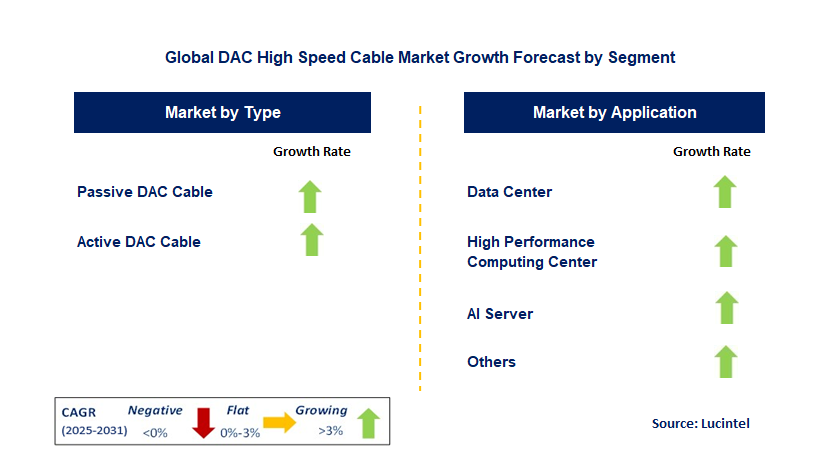 DAC High Speed Cable Market by Segment