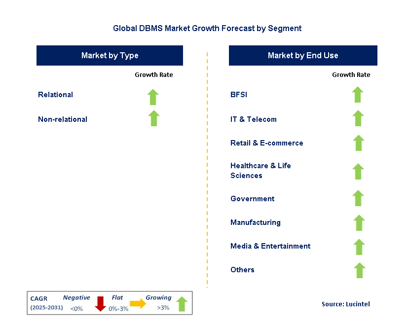 DBMS Market by Segment