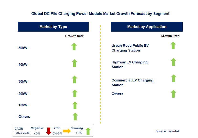DC Pile Charging Power Module Market by Segment