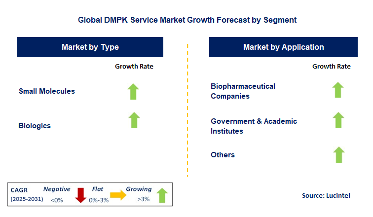 DMPK Service Market by Segment