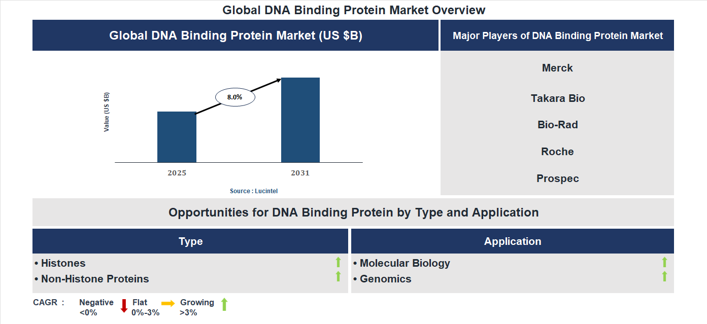 DNA Binding Protein Market Trends and Forecast