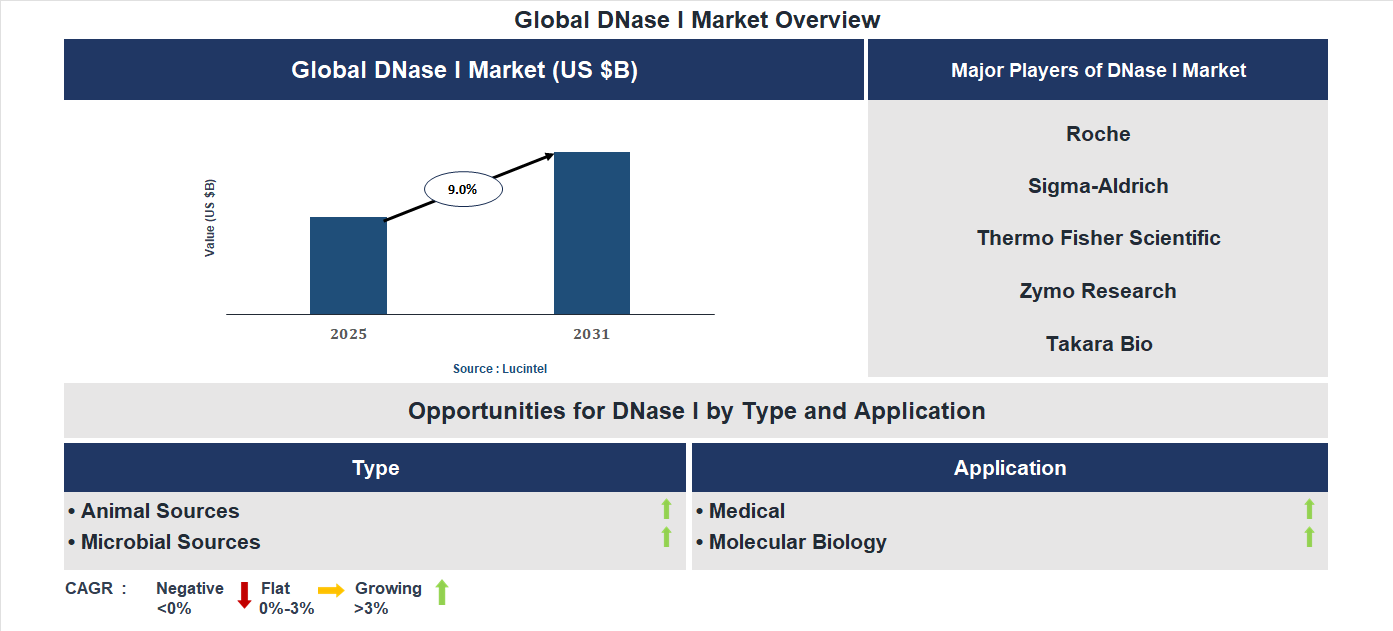 DNase I Market Trends and Forecast