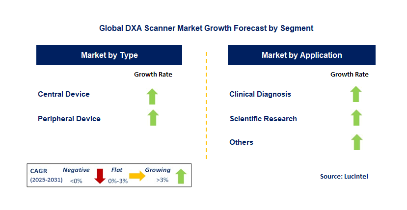 DXA Scanner Market by Segment
