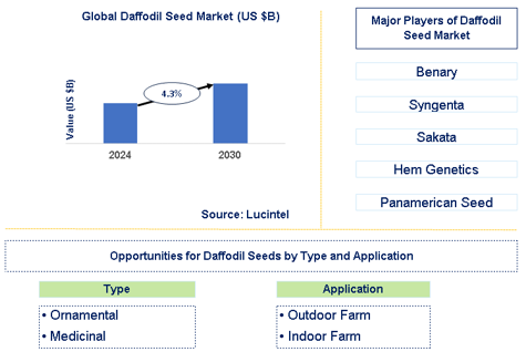 Daffodil Seed Market Trends and Forecast