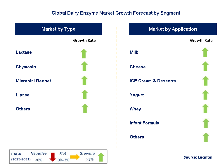 Dairy Enzyme Market by Segment
