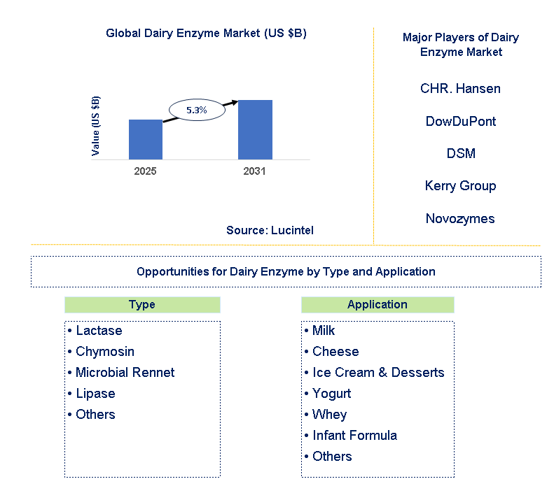 Dairy Enzyme Market Trends and Forecast