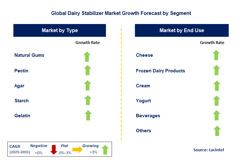 Dairy Stabilizer Market by Segment