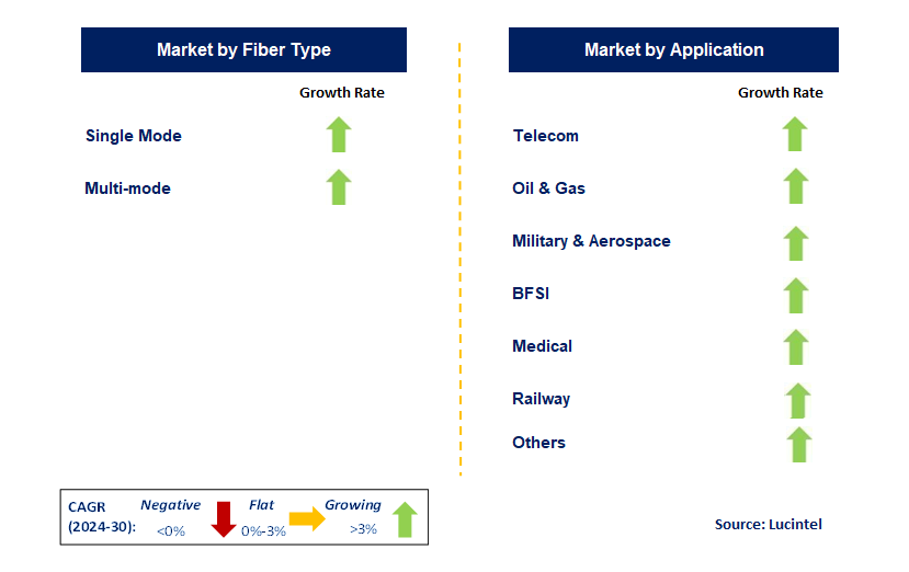 Dark Fiber Network by Segment