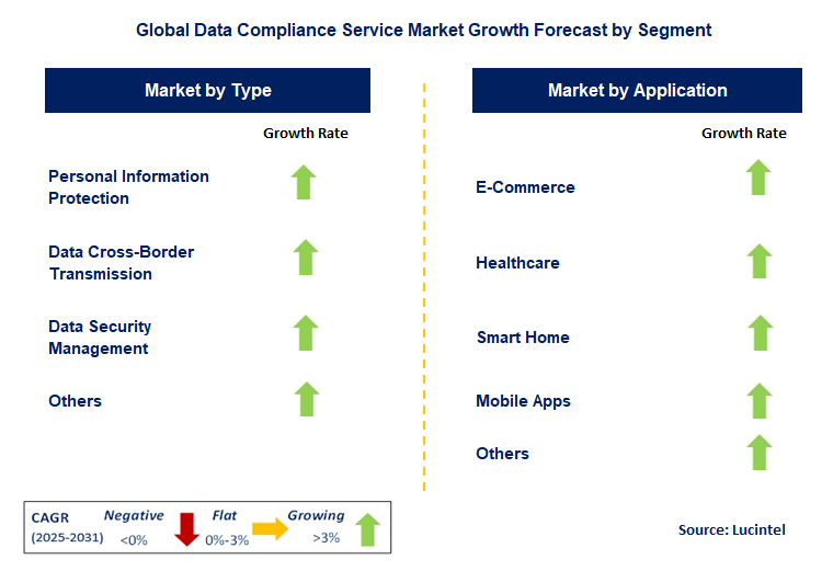 Data Compliance Service Market by Segment