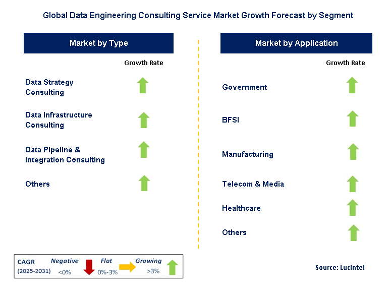 Data Engineering Consulting Service Market by Segment