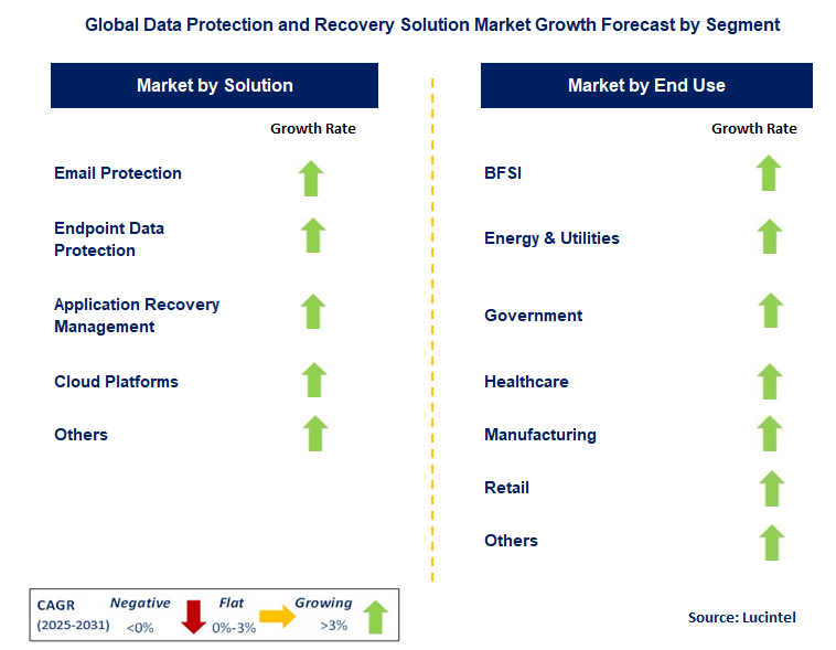 Data Protection and Recovery Solution Market by Segment
