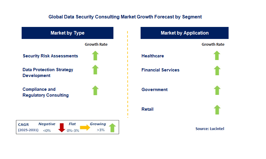 Data Security Consulting Market by Segment