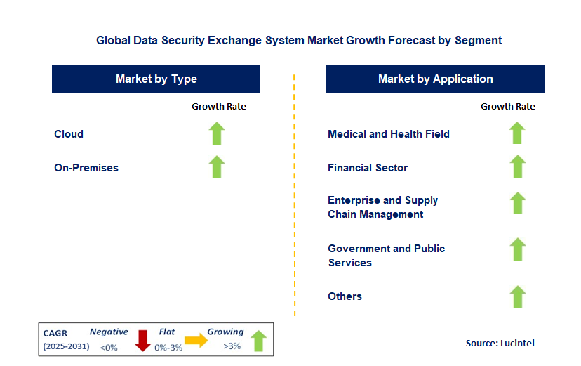 Data Security Exchange System Market by Segment
