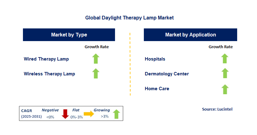 Daylight Therapy Lamp Market by Segment