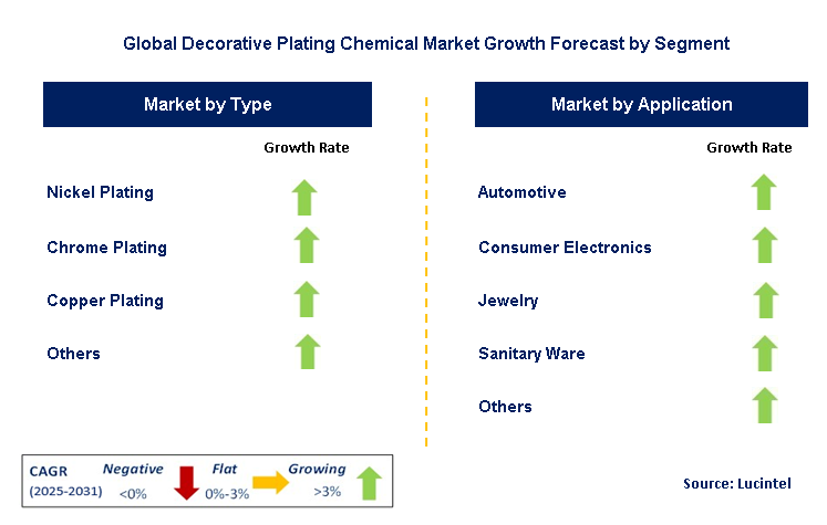 Decorative Plating Chemical Market by Segment