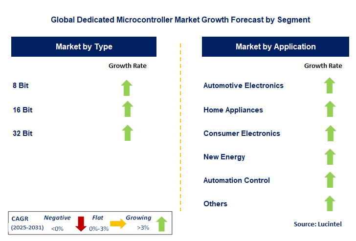 Dedicated Microcontroller Market by Segment