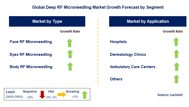 Deep RF Microneedling Market by Segment