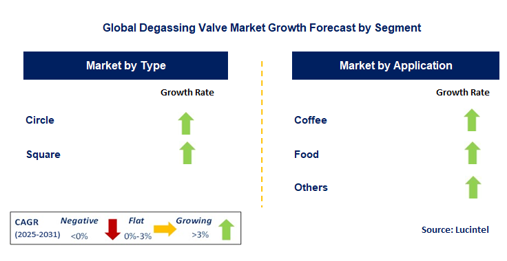 Degassing Valve Market by Segment