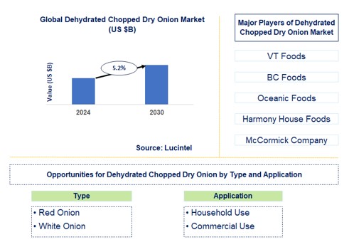 Dehydrated Chopped Dry Onion Trends and Forecast