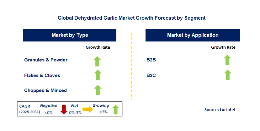 Dehydrated Garlic Market by Segment