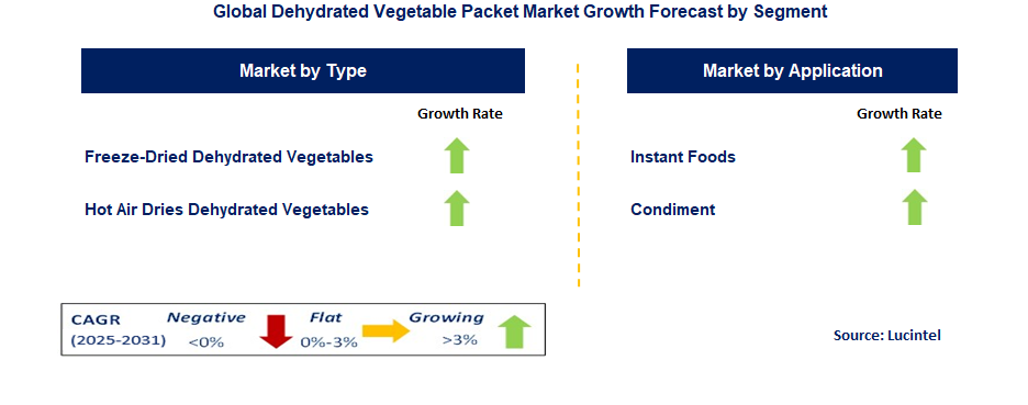 Dehydrated Vegetable Packet Market by Segment