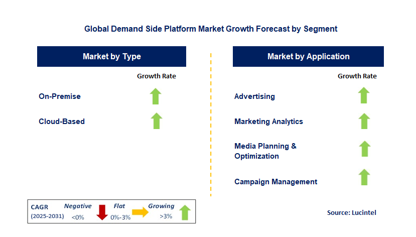 Demand Side Platform Market by Segment